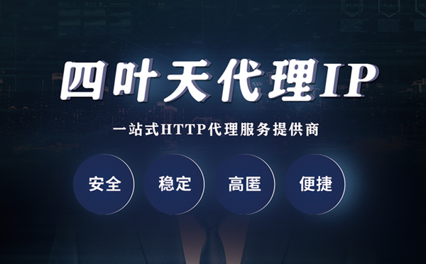 【荆州代理IP】代理ip客户端使用教程