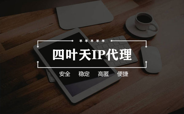 【荆州代理IP】如何快速搭建代理IP？怎么检查代理的效果？